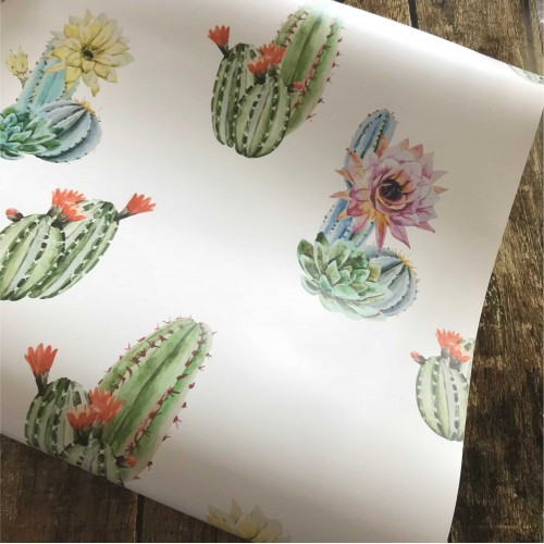Papel de Parede Tropical Cactos Fundo Branco - 1