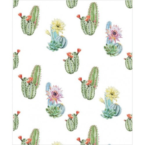 Papel de Parede Tropical Cactos Fundo Branco - 3