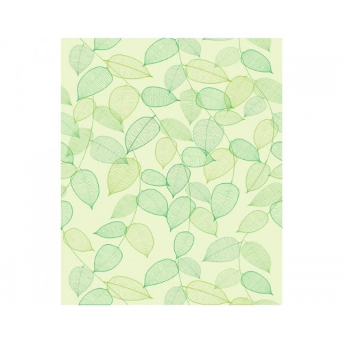 Papel de Parede Chá Verde - 4