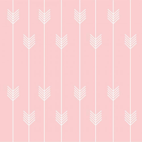 Papel de Parede Flecha Rose - 1