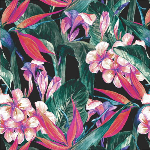 Papel de Parede Tropical Ilhabela - 1