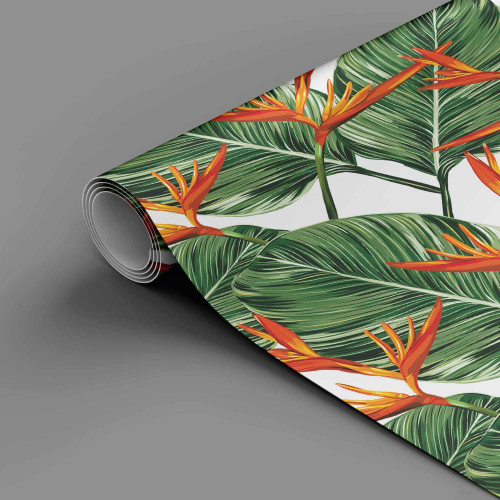 Papel de Parede Tropical Santarém - 3