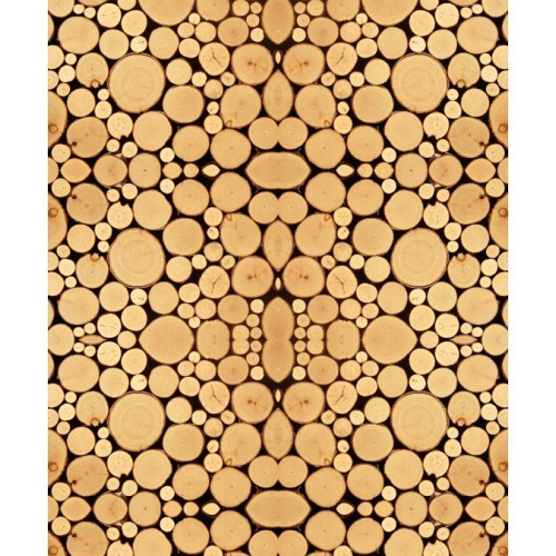 Papel de Parede Madeira Tronquinhos - 4