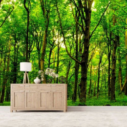 Painel Fotográfico Mata Verde
