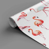 Papel de Parede Flamingo - 1