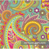 Papel de Parede Santocha - 5